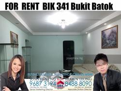 bukit-batok-street-34 photo thumbnail #10